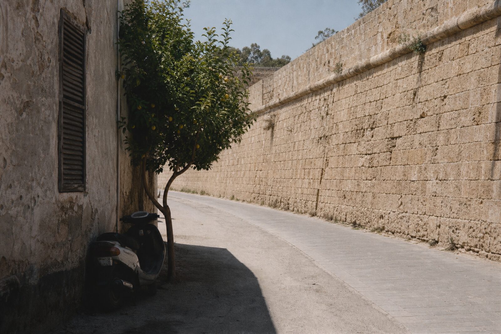 The Venetian wall of old Nicosia with a lemon tree growing against it.
